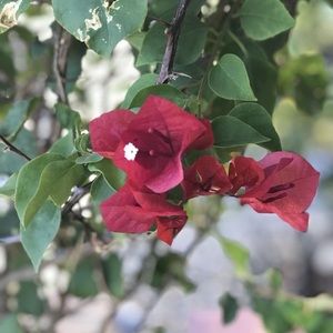 Meet your Posher, Tina